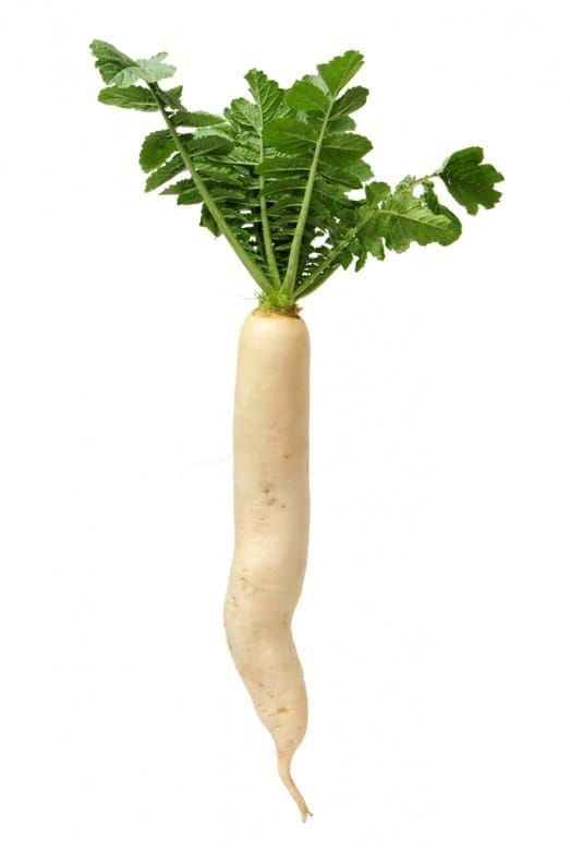Posting Radish Until It Reaches Front (Try #1)