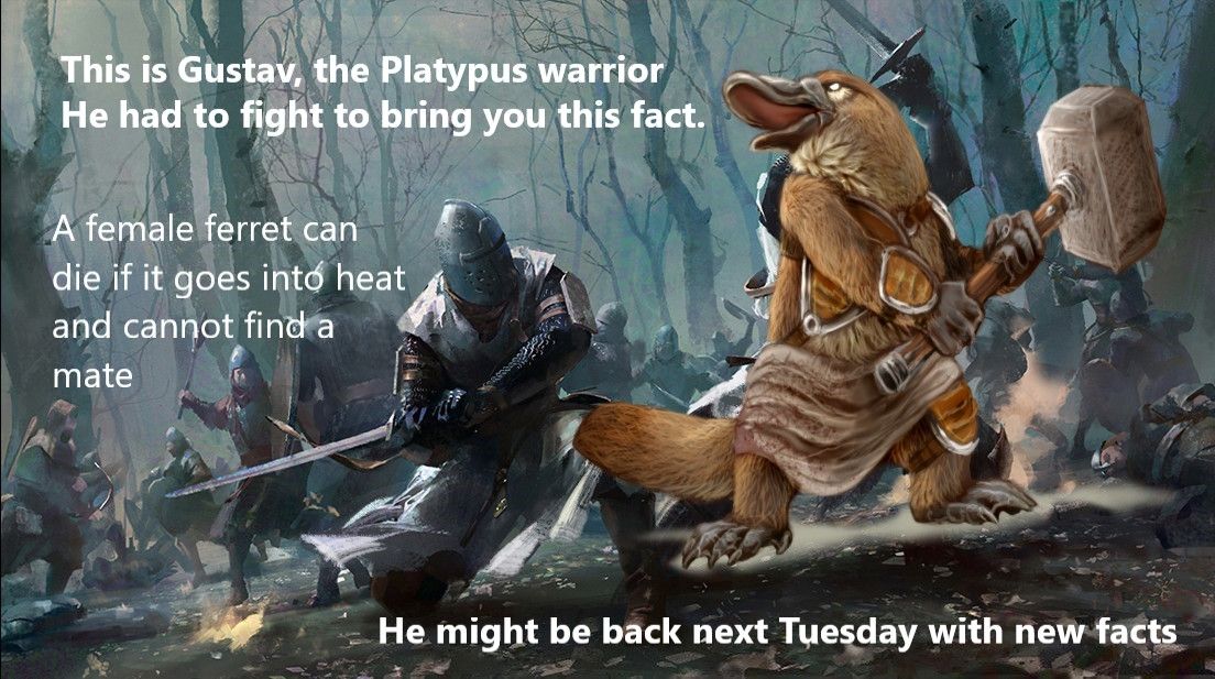 Gustav Week 1