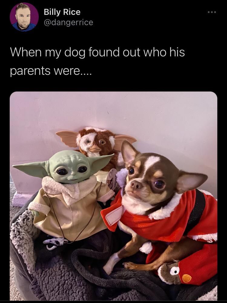 Yoda daddy, Gizmo!