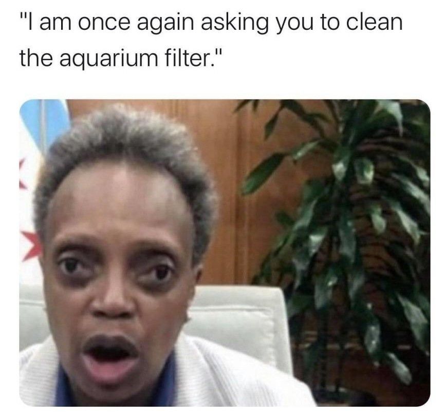 it green in here