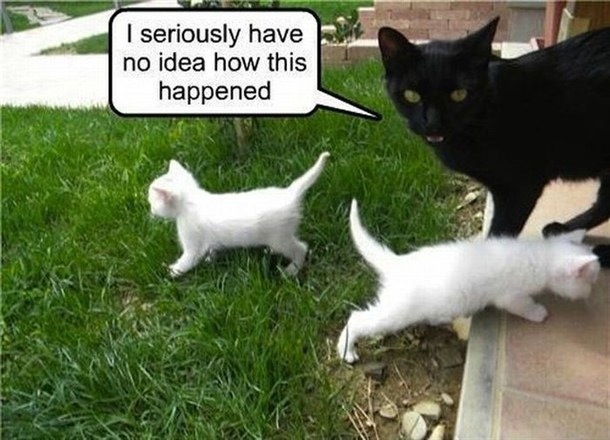 I have no idea...