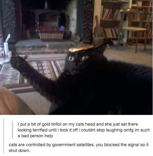 Government controlled cats.