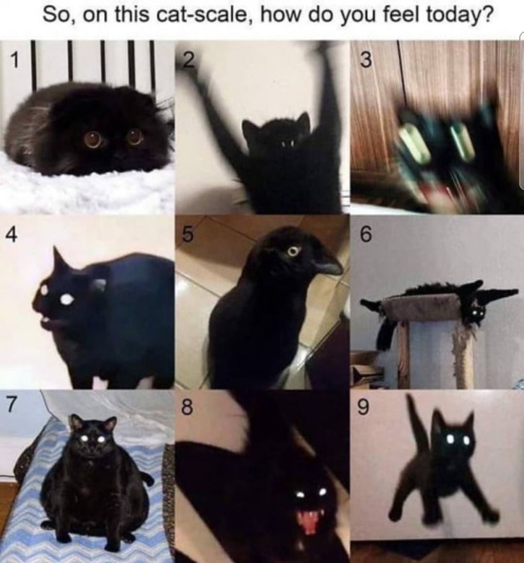 9 all the time. I don't know what the f is happening