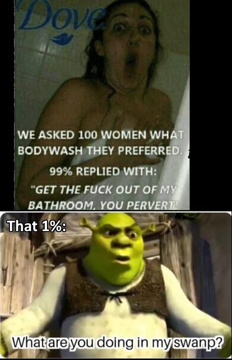 That's the type of girls I like . The Shrek type