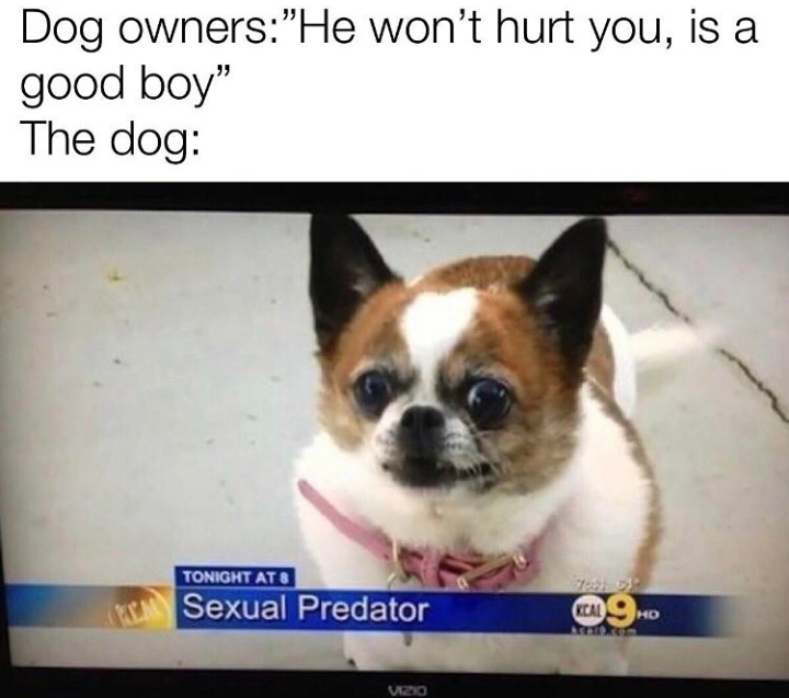 Tbh it looks like one