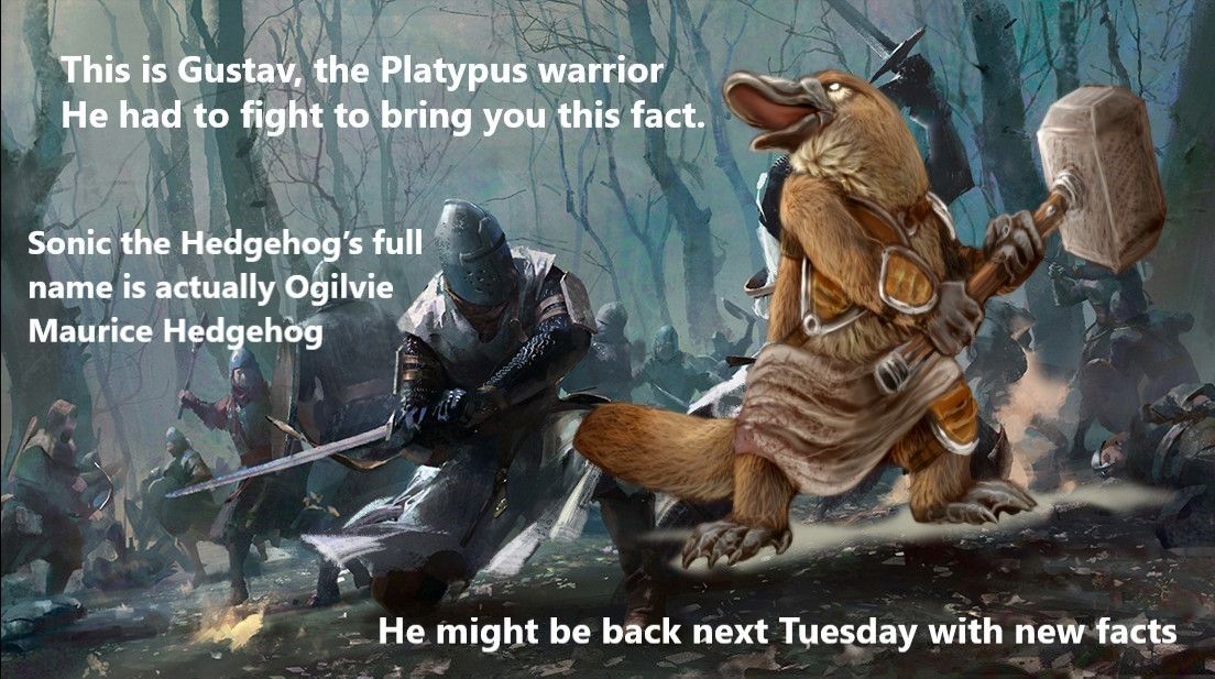 Gustav Week 2