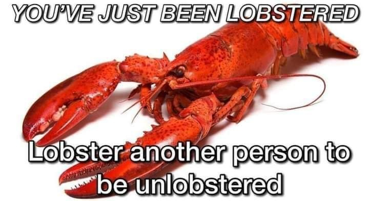 lobstered