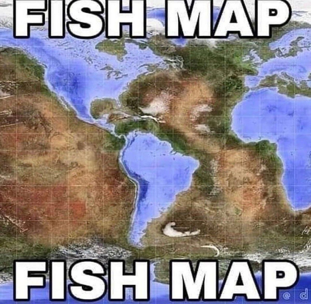 FISH MAP