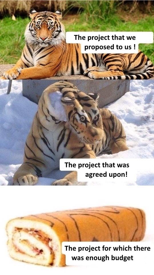 projects: