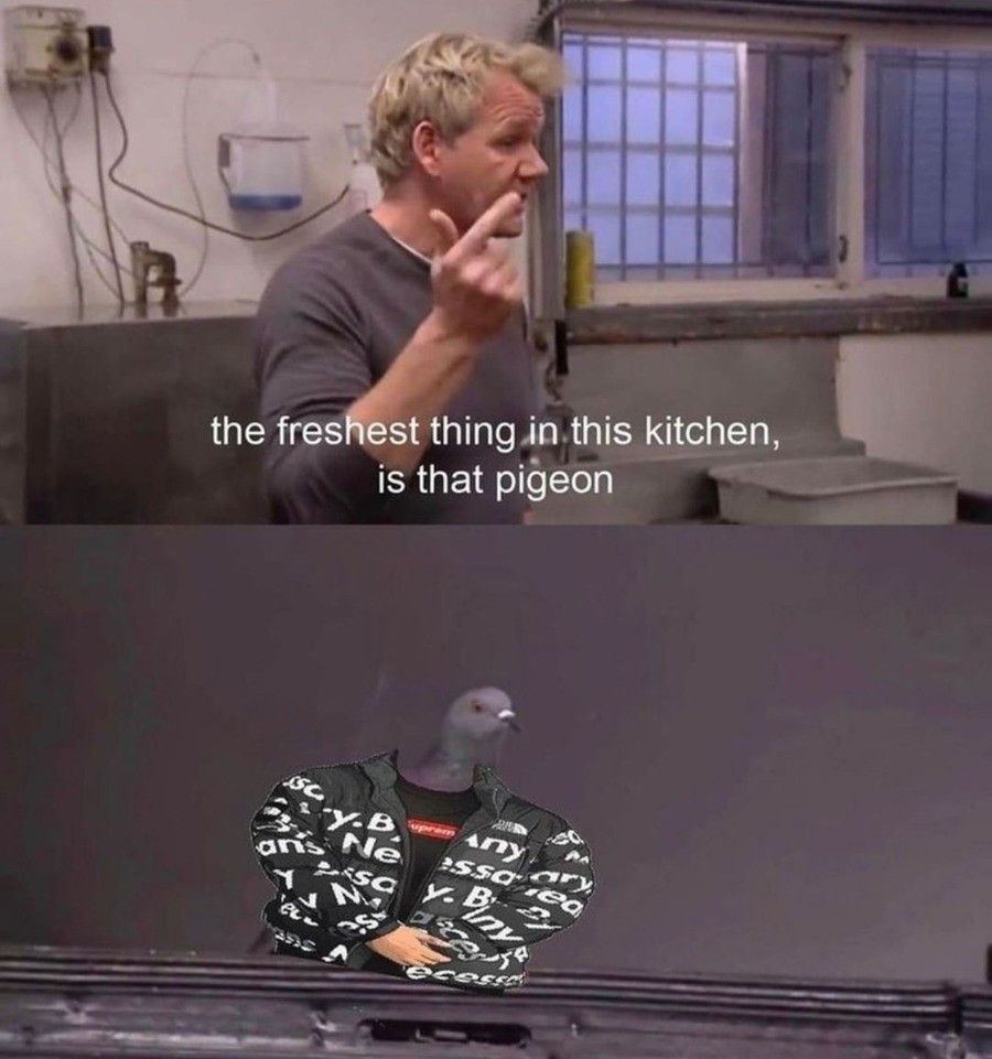 The pigeon is dripping
