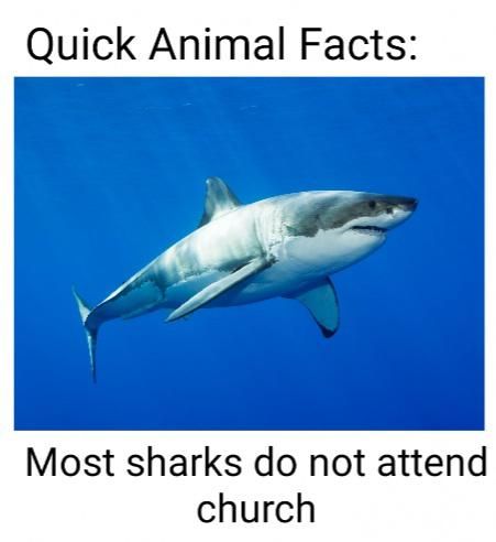 Quick Animal Fact #2, got banned from memes, pls dont ban me dankmemes