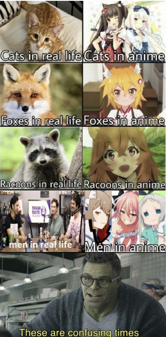 They are indeed