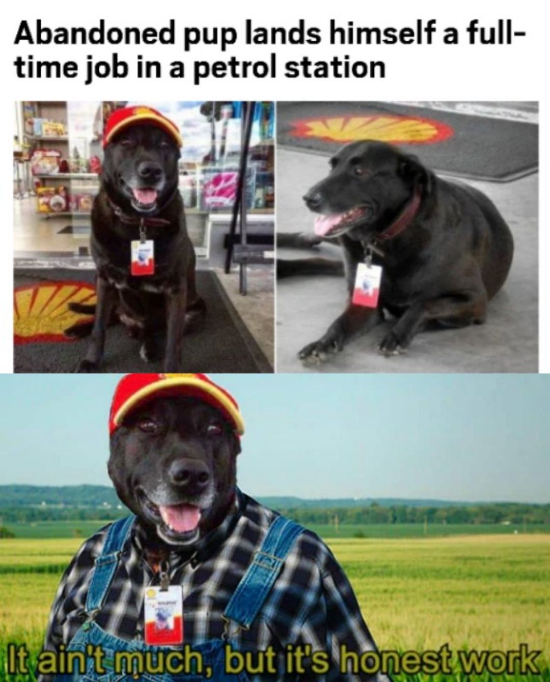 The perfect employee doesn't exi---