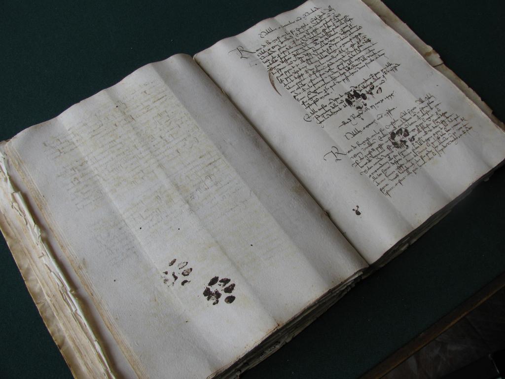 Cats--walking all over your sh*t since the 15th century