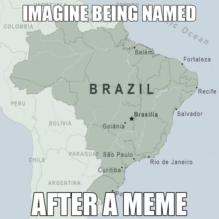 Guys! Brazil is actually real WTF!!!