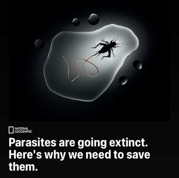 no need i'm a parasite