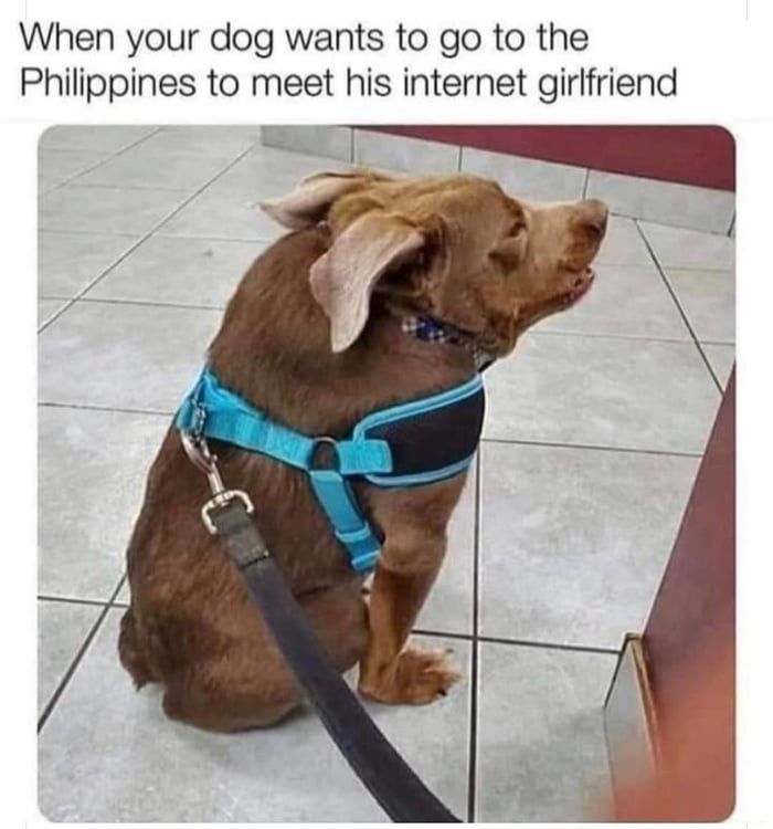 that guy