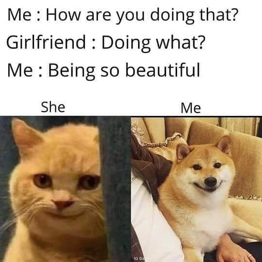 Doggo trying pickup lines on cat