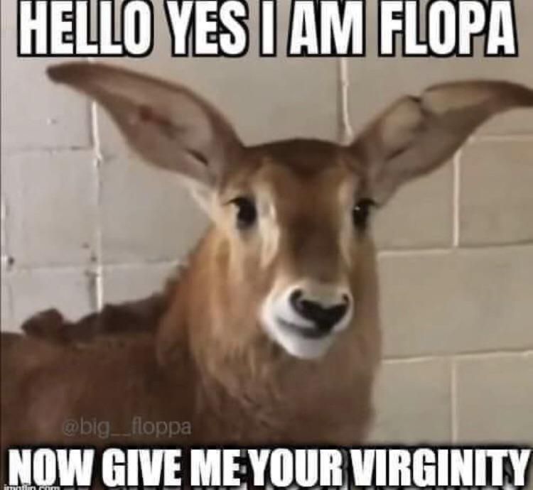 I heard you like Flopas