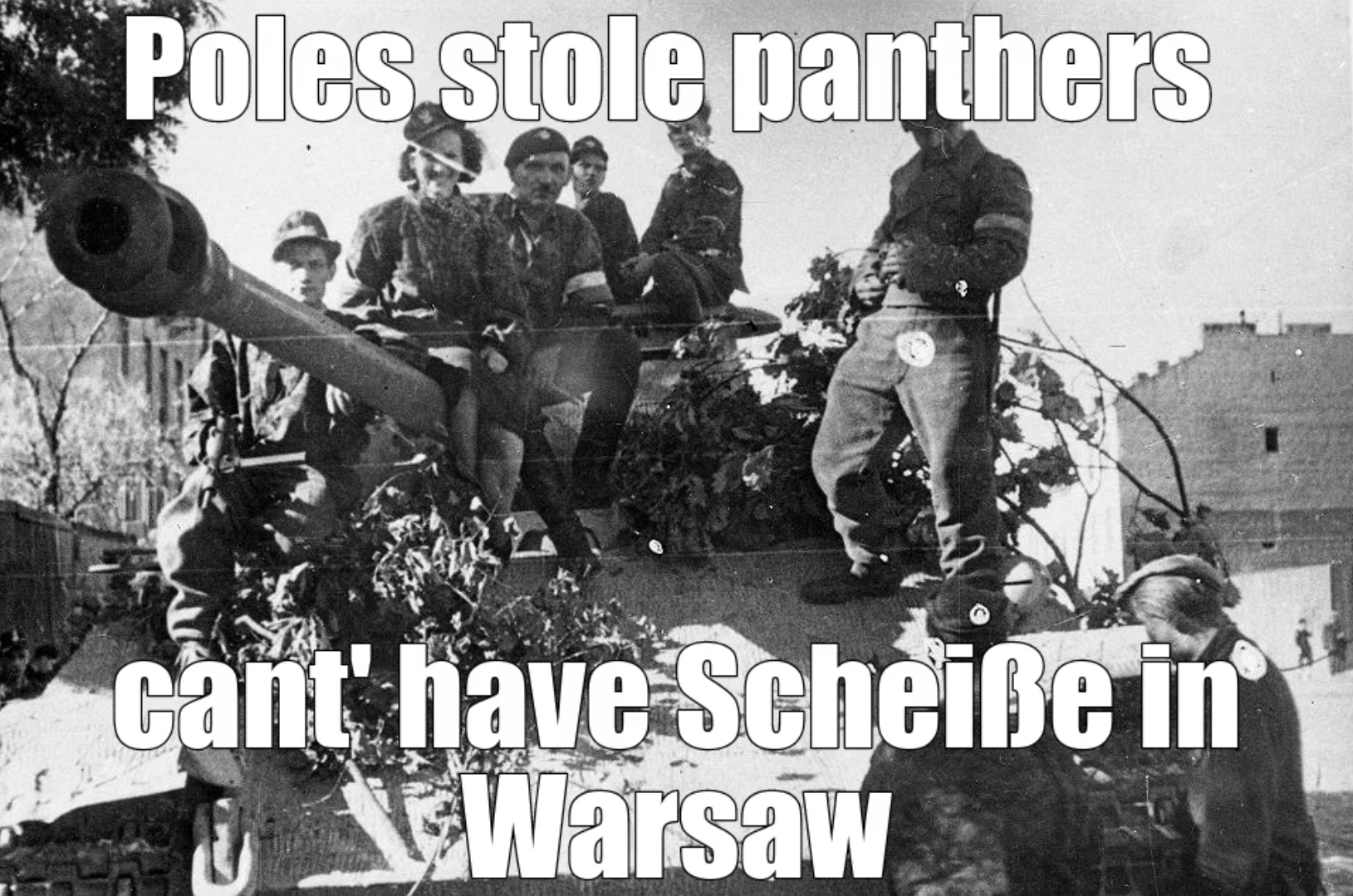 They stole Sonderkraftfahrzeug 171 Panzerkampfwagen V Panther Ausführung A