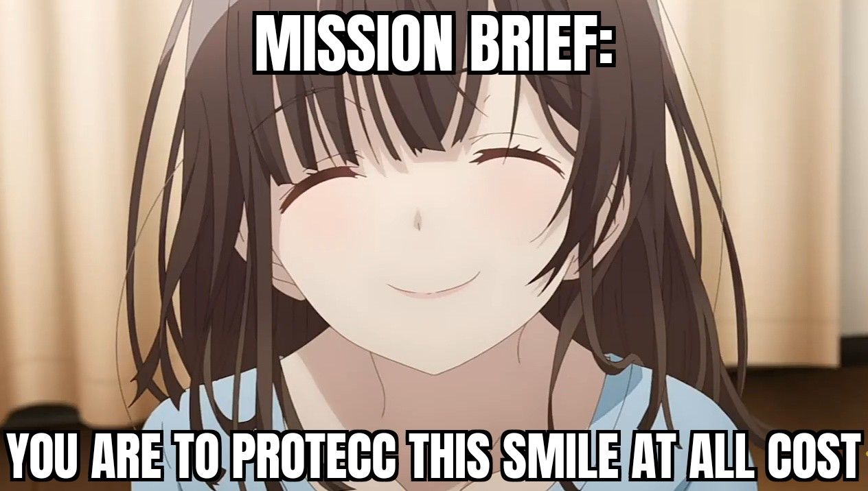 Do you accept this mission, soldier?