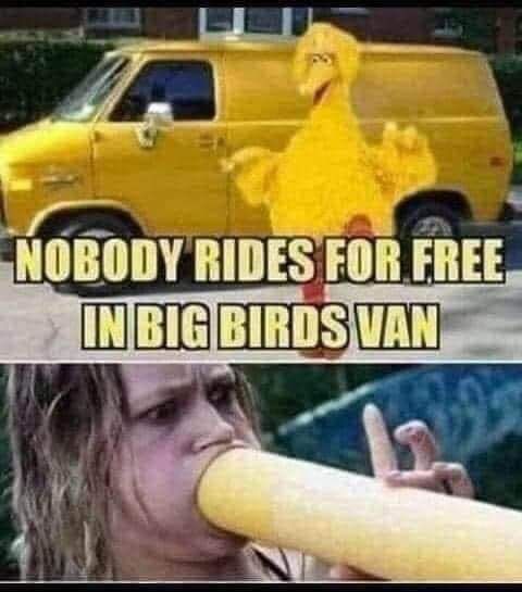 Damn Big Bird.