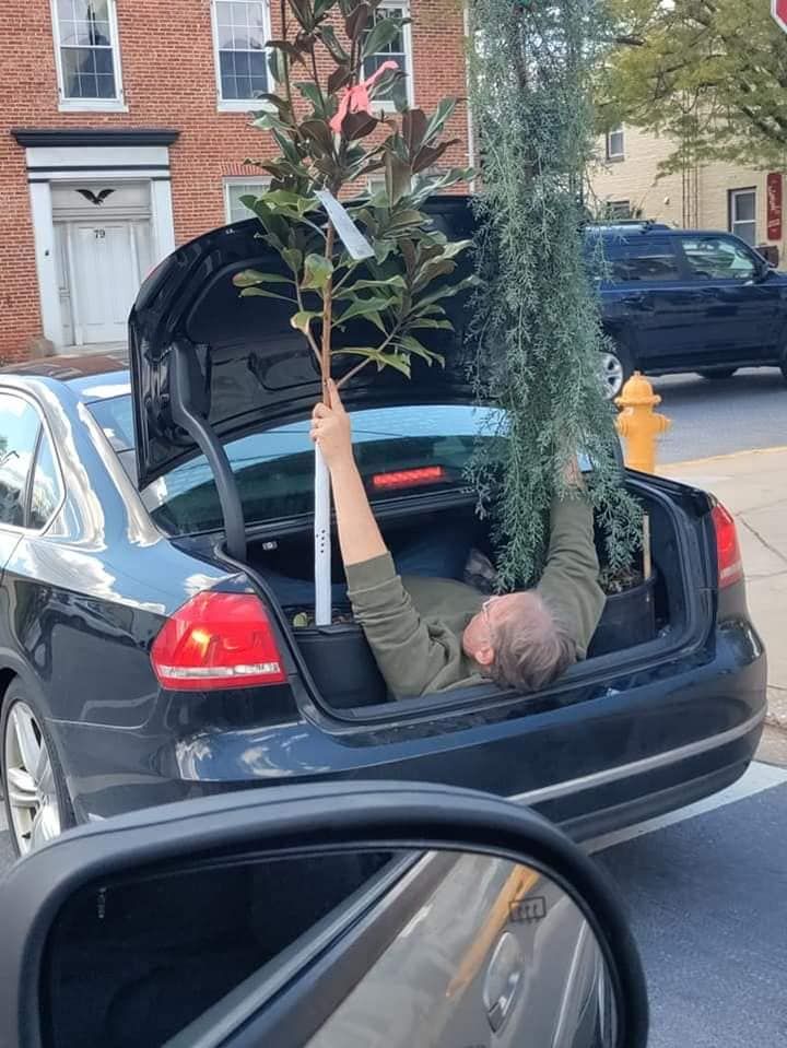 This guys is laying down in the car hatch and holding these two plants as his wife who is driving keeps yelling "what" as he keeps yelling something about "pull over for a second" LOL