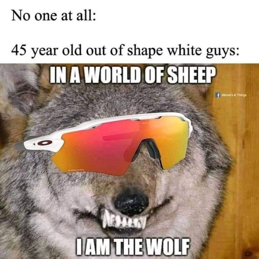 wolf