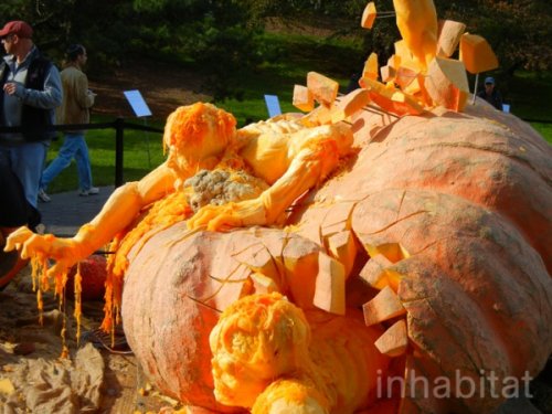 Help me I'm a pumpkin!