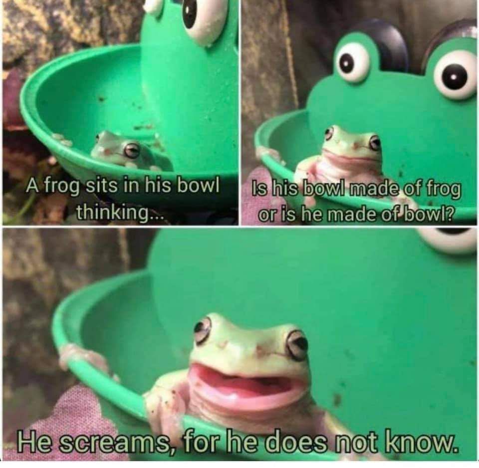 Which came first? The frog or the bowl