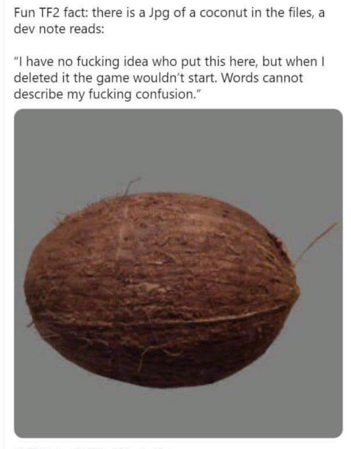 Praise the coconut