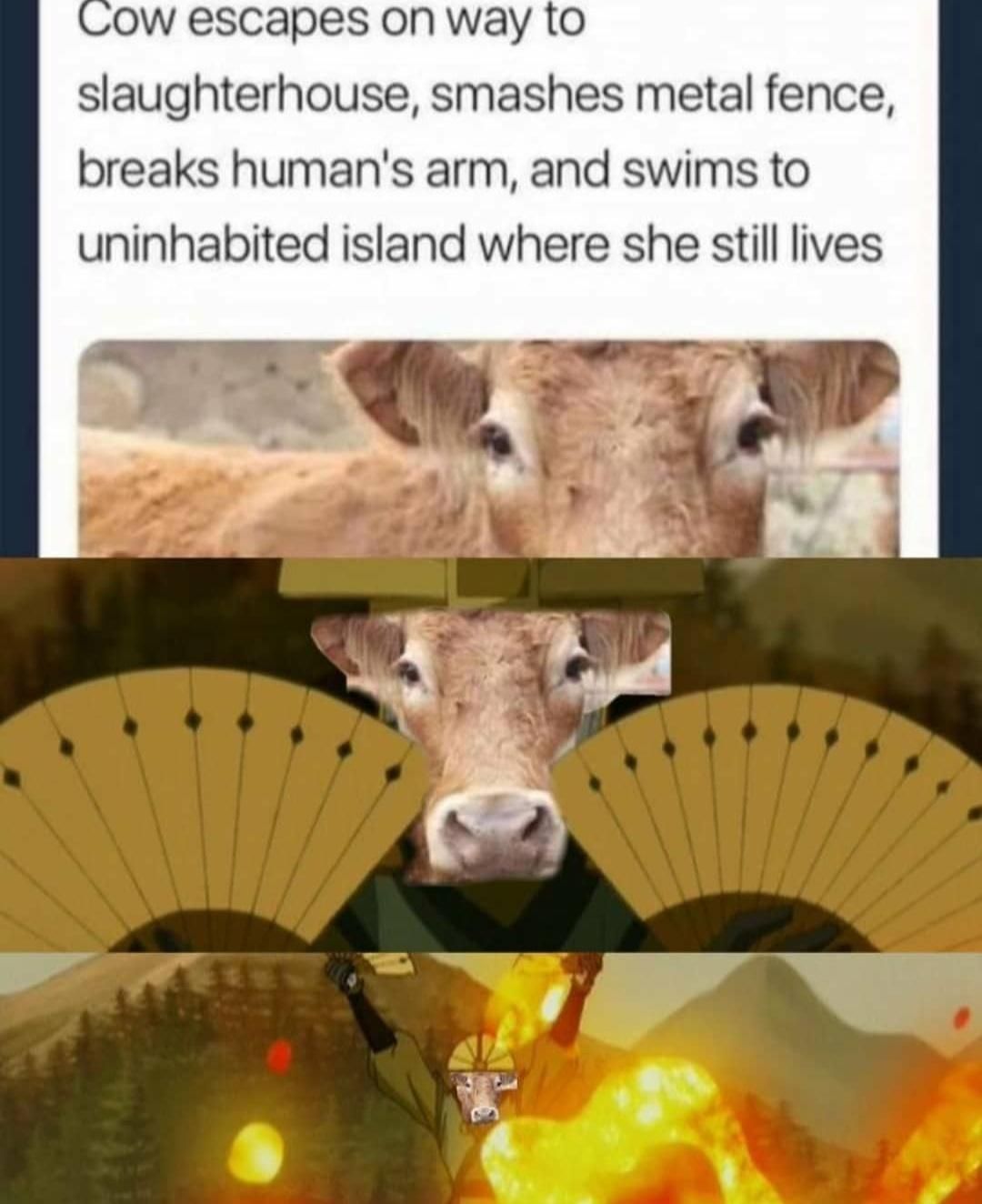 This cow deserves everything.