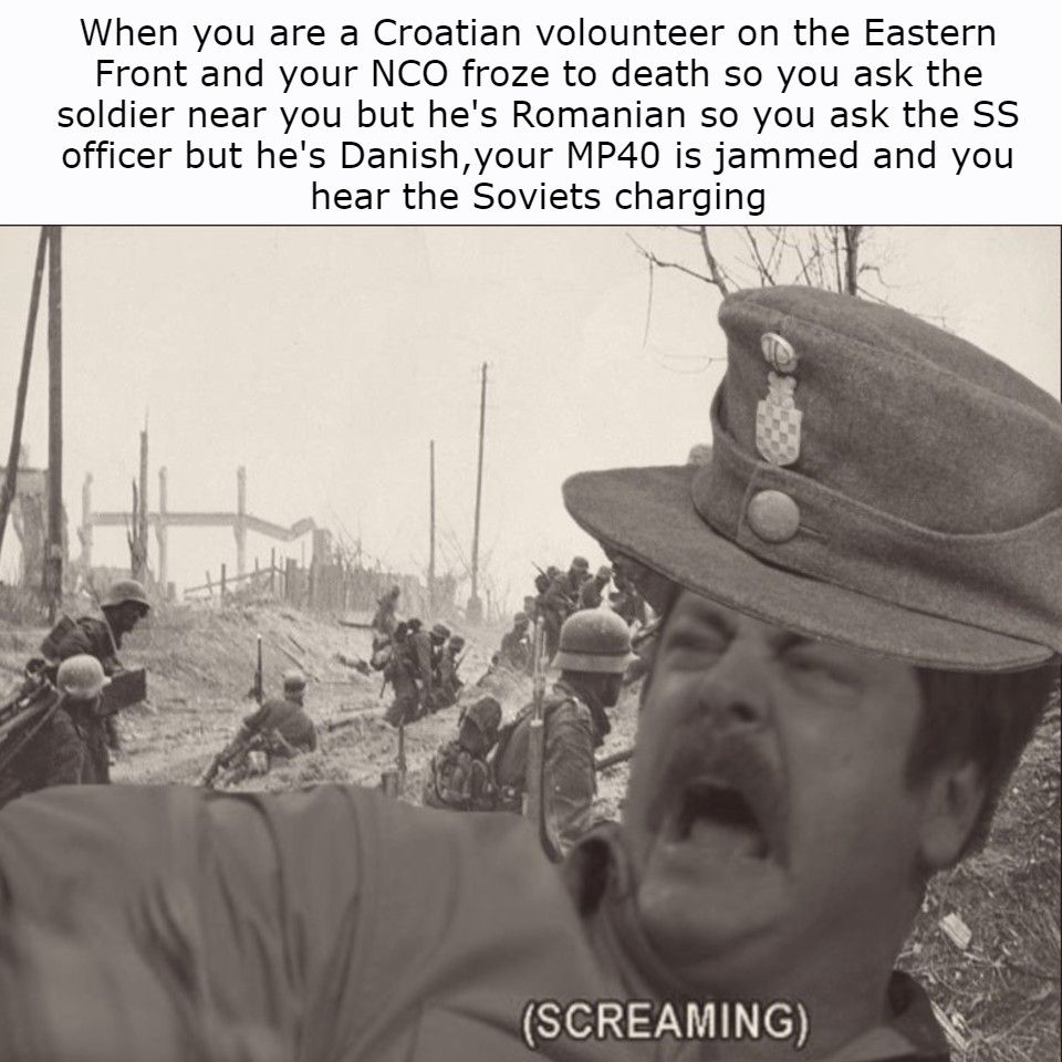 Should have fought the partisans