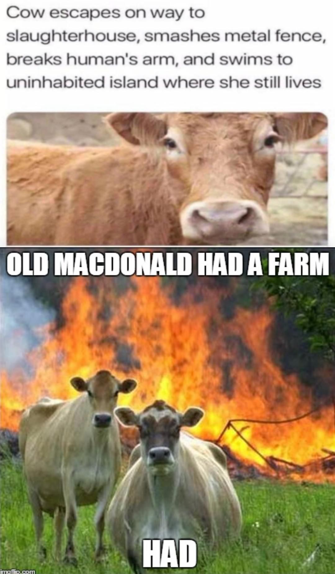 Had a farm..