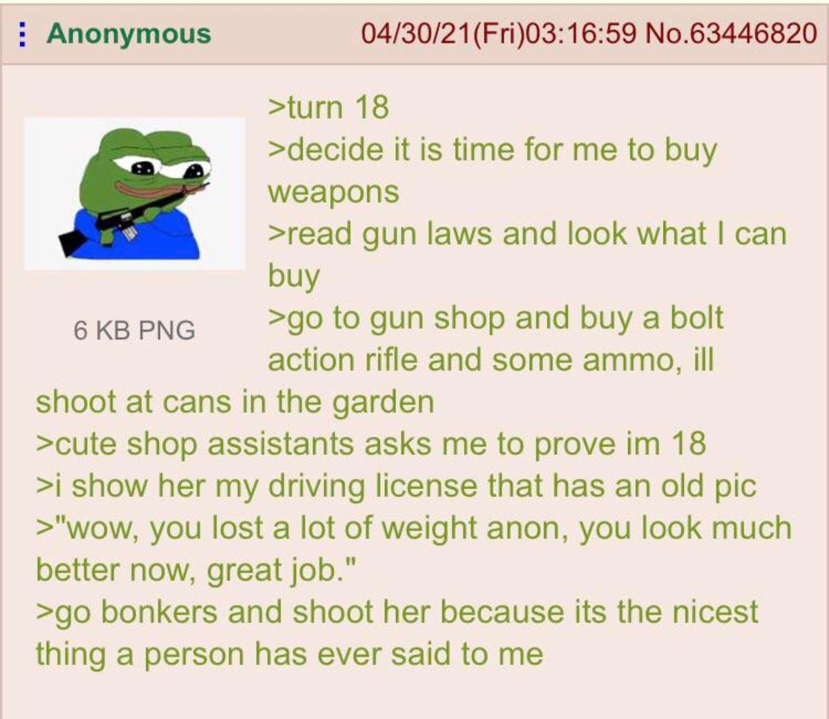 Anon buys a gun