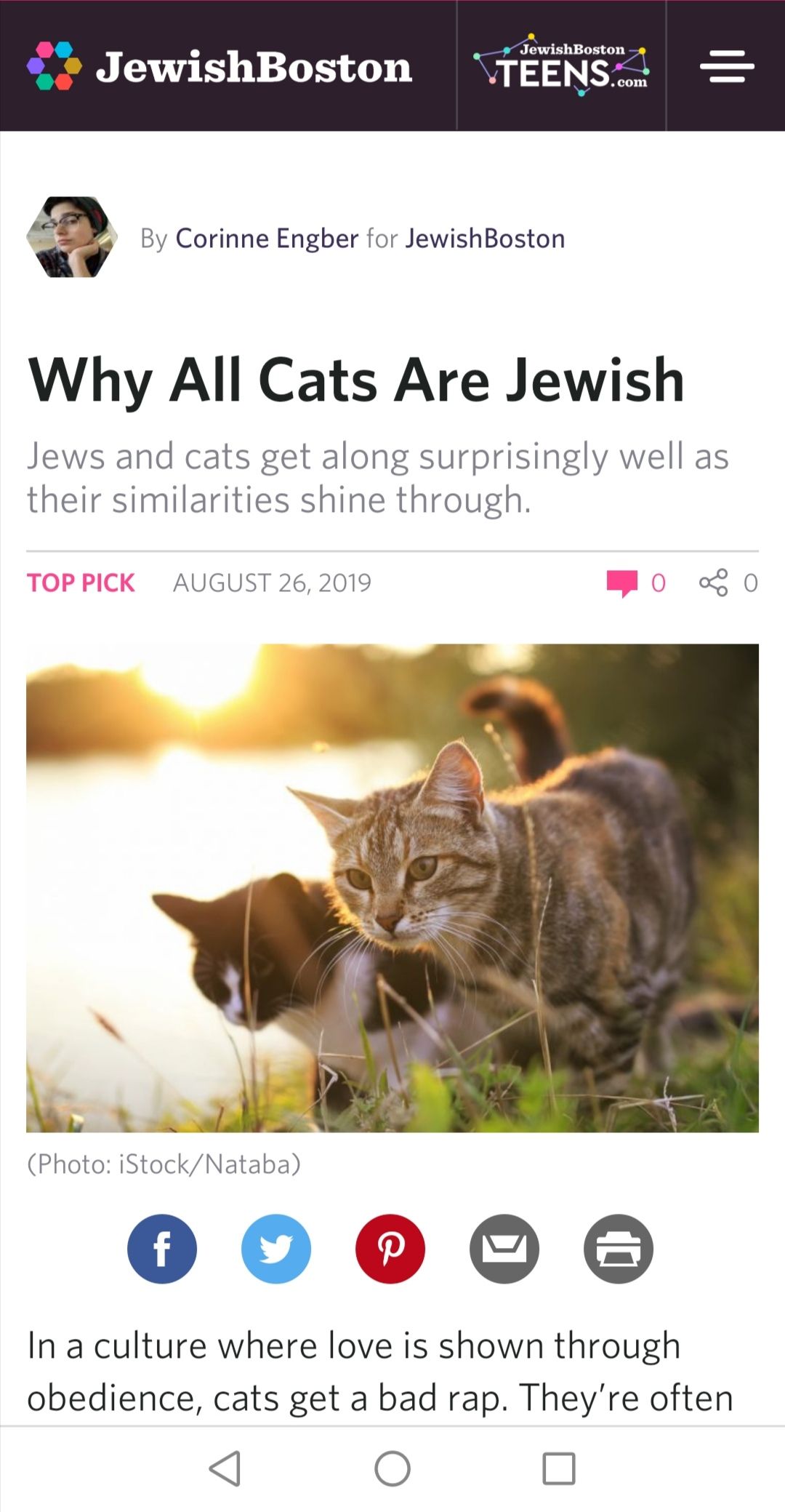 Next: Why all dogs that chase cats are nazis