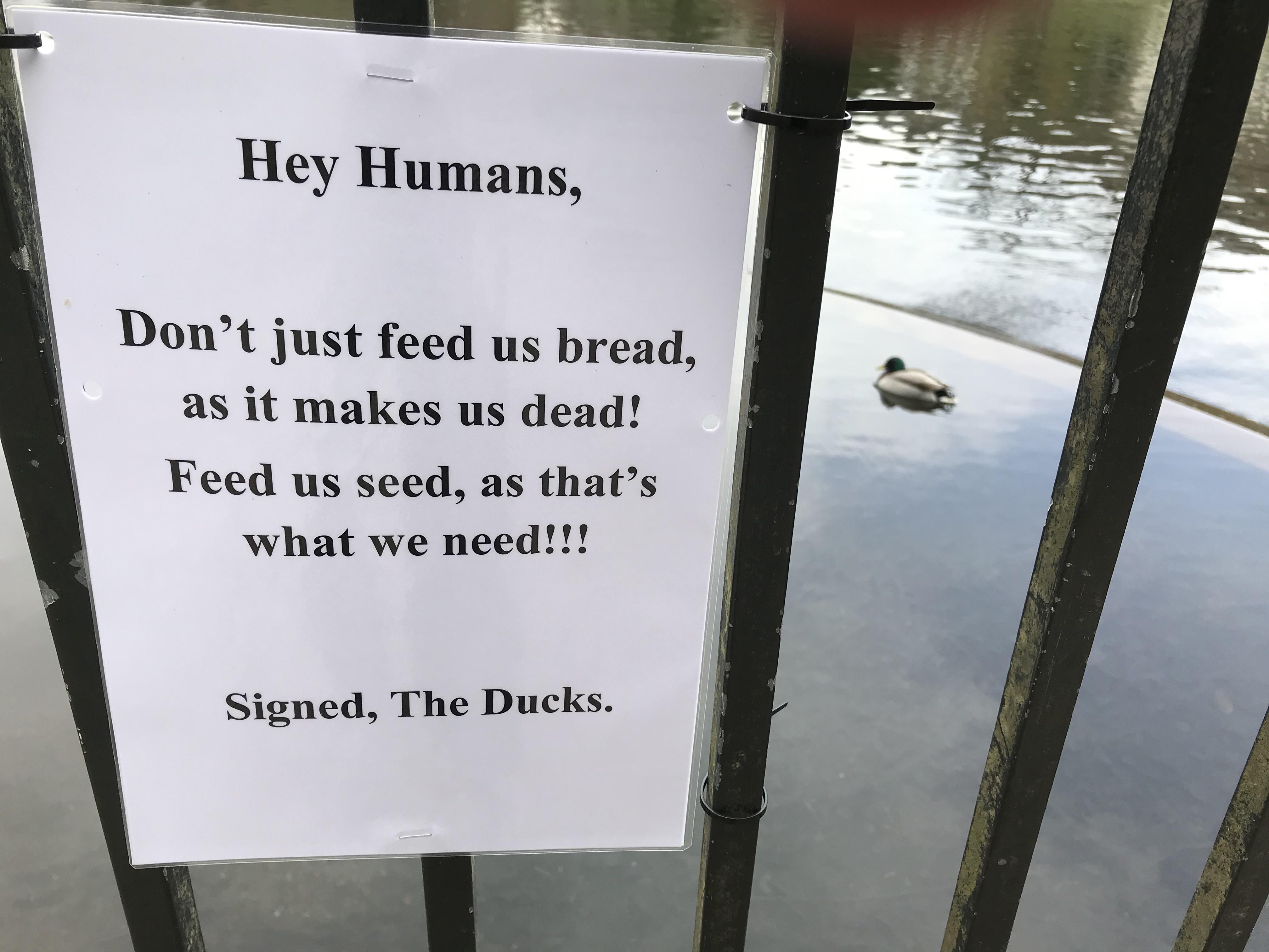 I shall respect your wishes Mr Duck