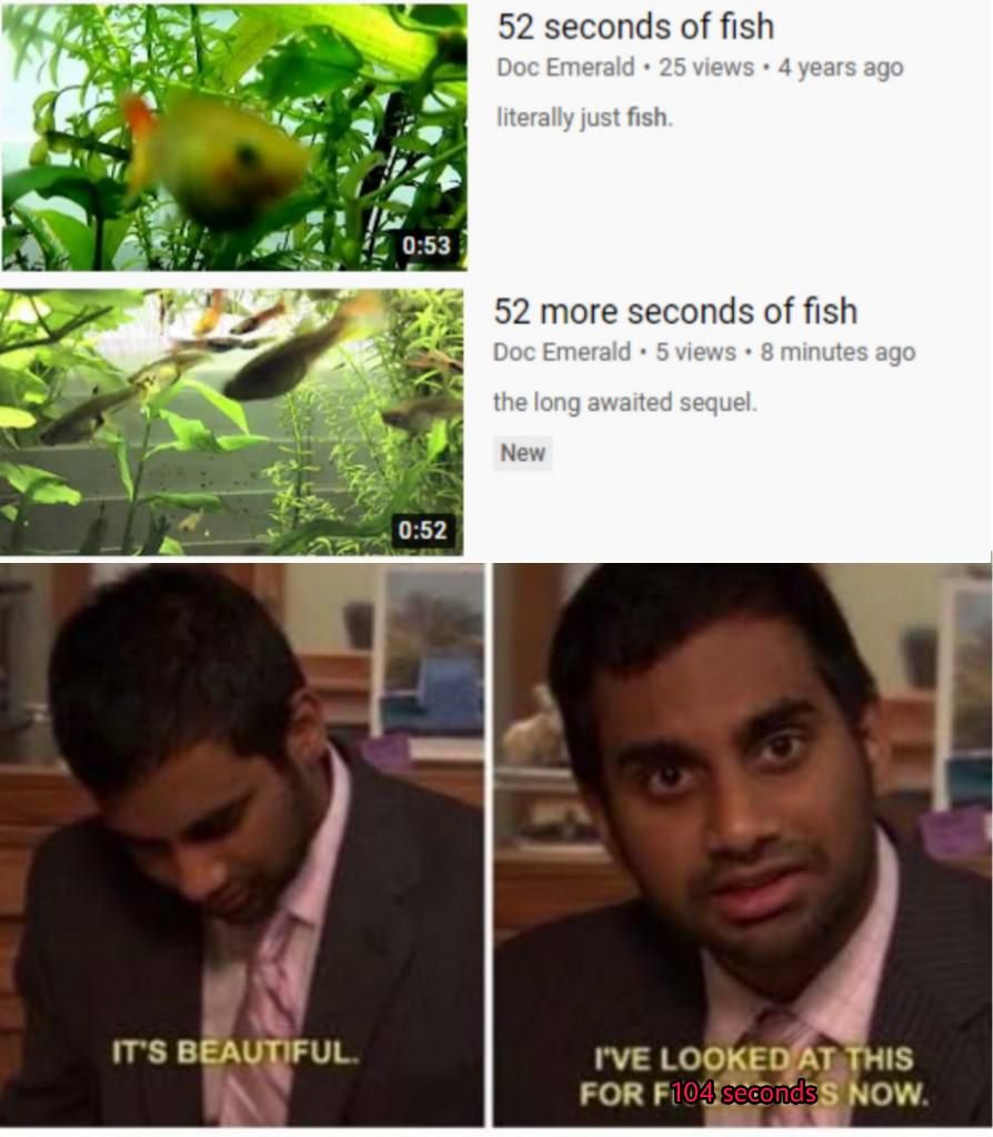 52 seconds of fish