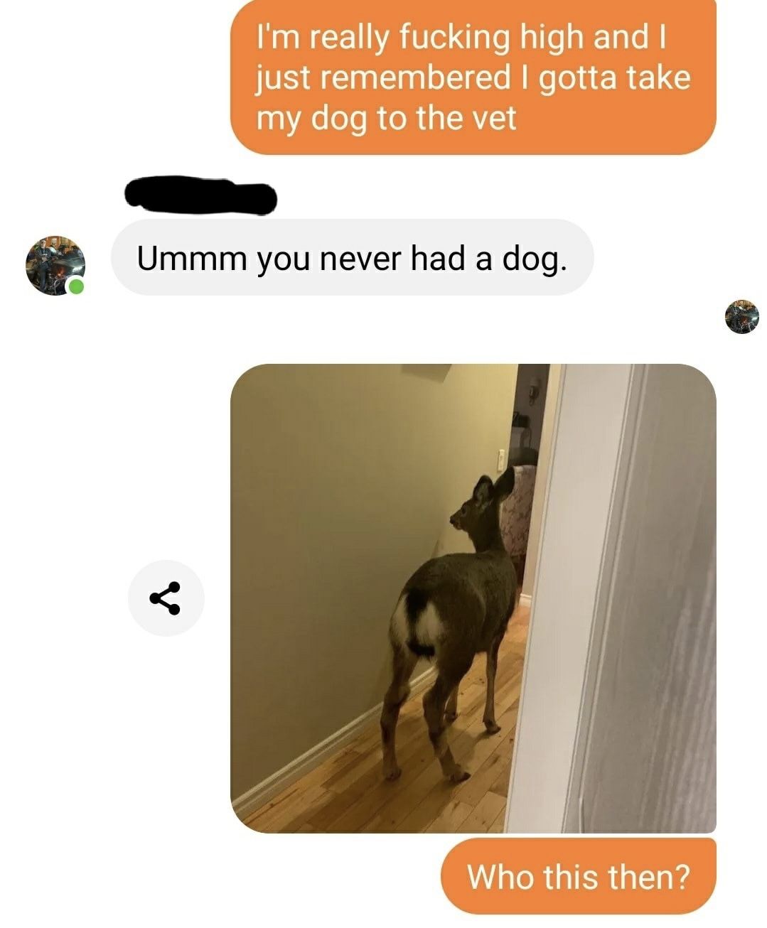 How’s I get this dog?