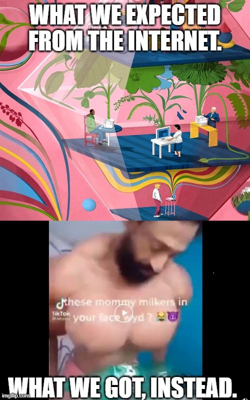 the internet is gay