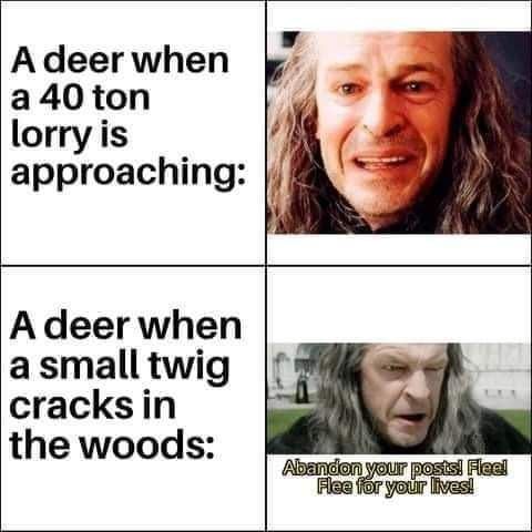 lorry