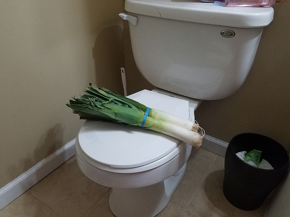My daughter called me on my way back from the store stating that our toilet has a huge leak. I came home to this...