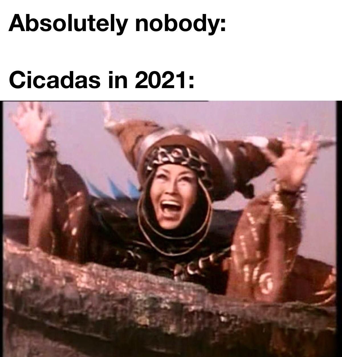 WEEEEWEEEEWEEEEWEEEEW