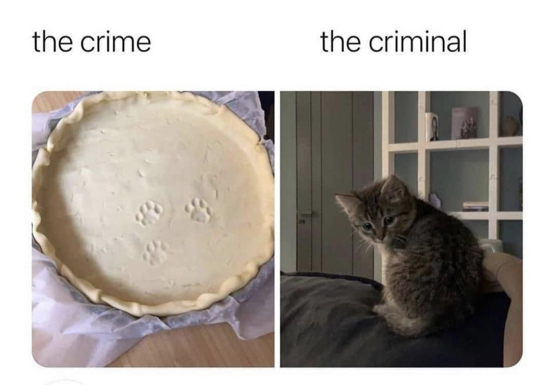 Claw enforcement says he was pawsibly decorating the pie.