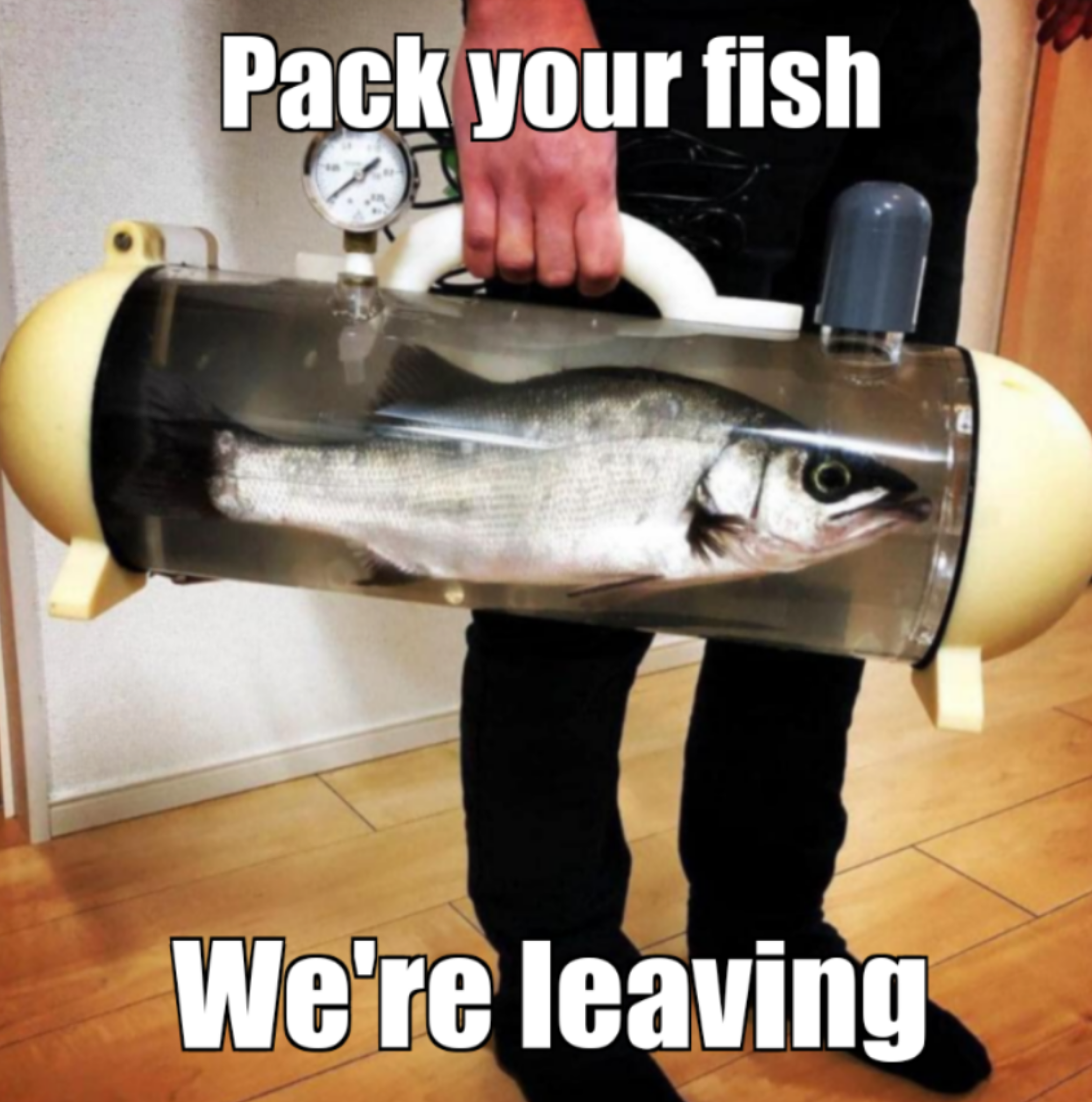 When nobody appreciates the fishing memes @Huge_fisherman let's leave