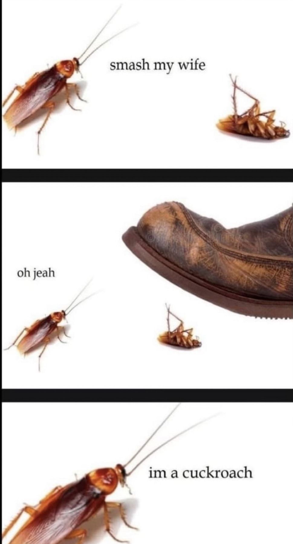 Pun of the day