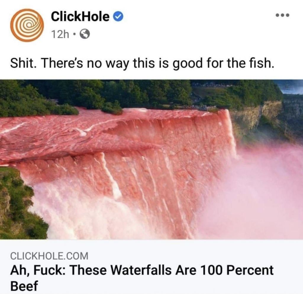 Mmhmmm beef