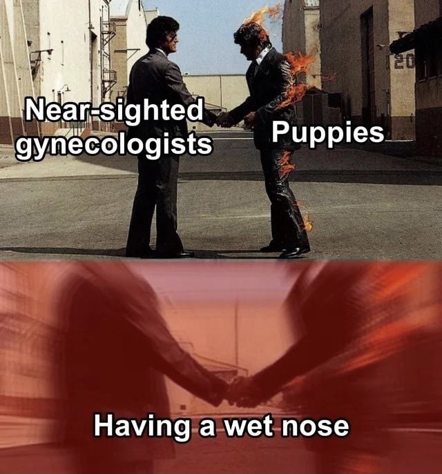 THATS IT IM DONE HUMANITIES F*CKED