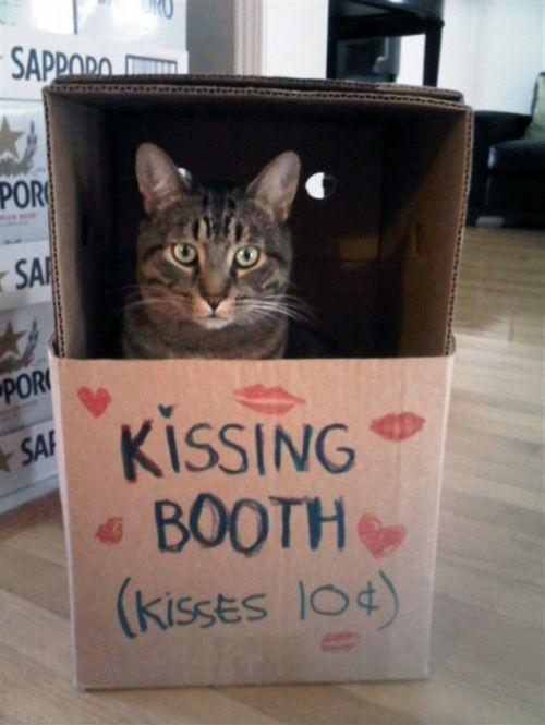 Kissing Booth