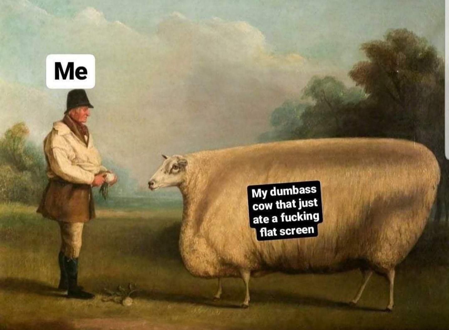 That's a pig